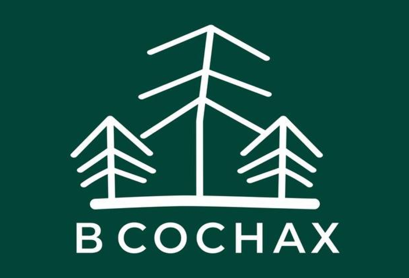 В СОСНАХ
