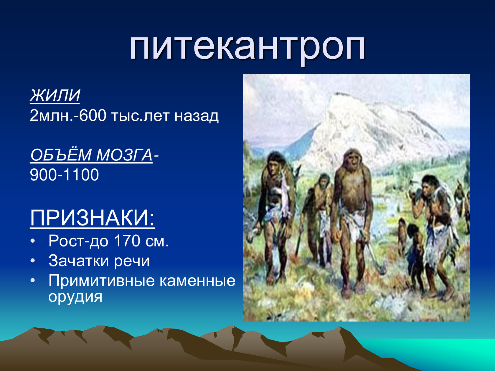600 лет жили. Питекантроп образ жизни. Питекантропы жили. Питекантроп рост. 600 Тыс лет назад.