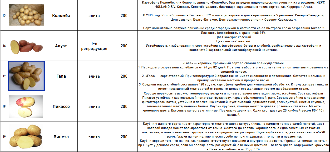 Сорт картофеля уника перуанская