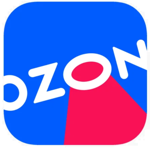 website icon