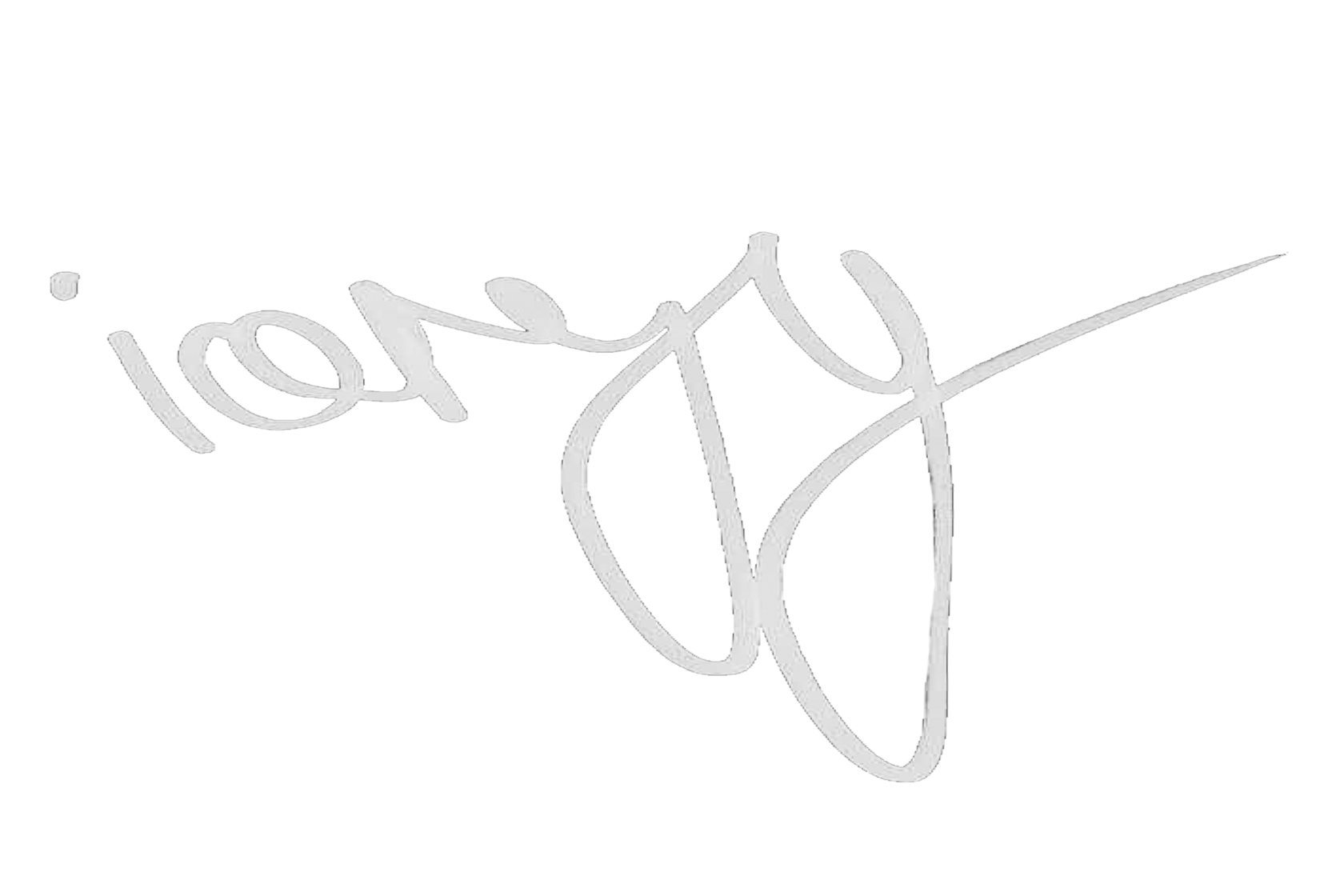 iorjy art