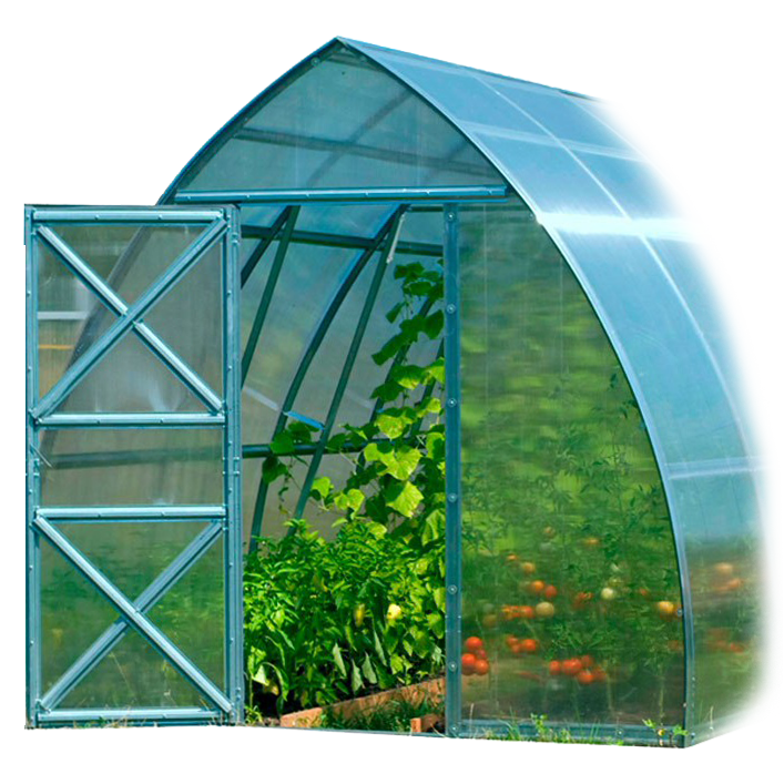 кусок теплицы из полекорбаната с урожаем внутри