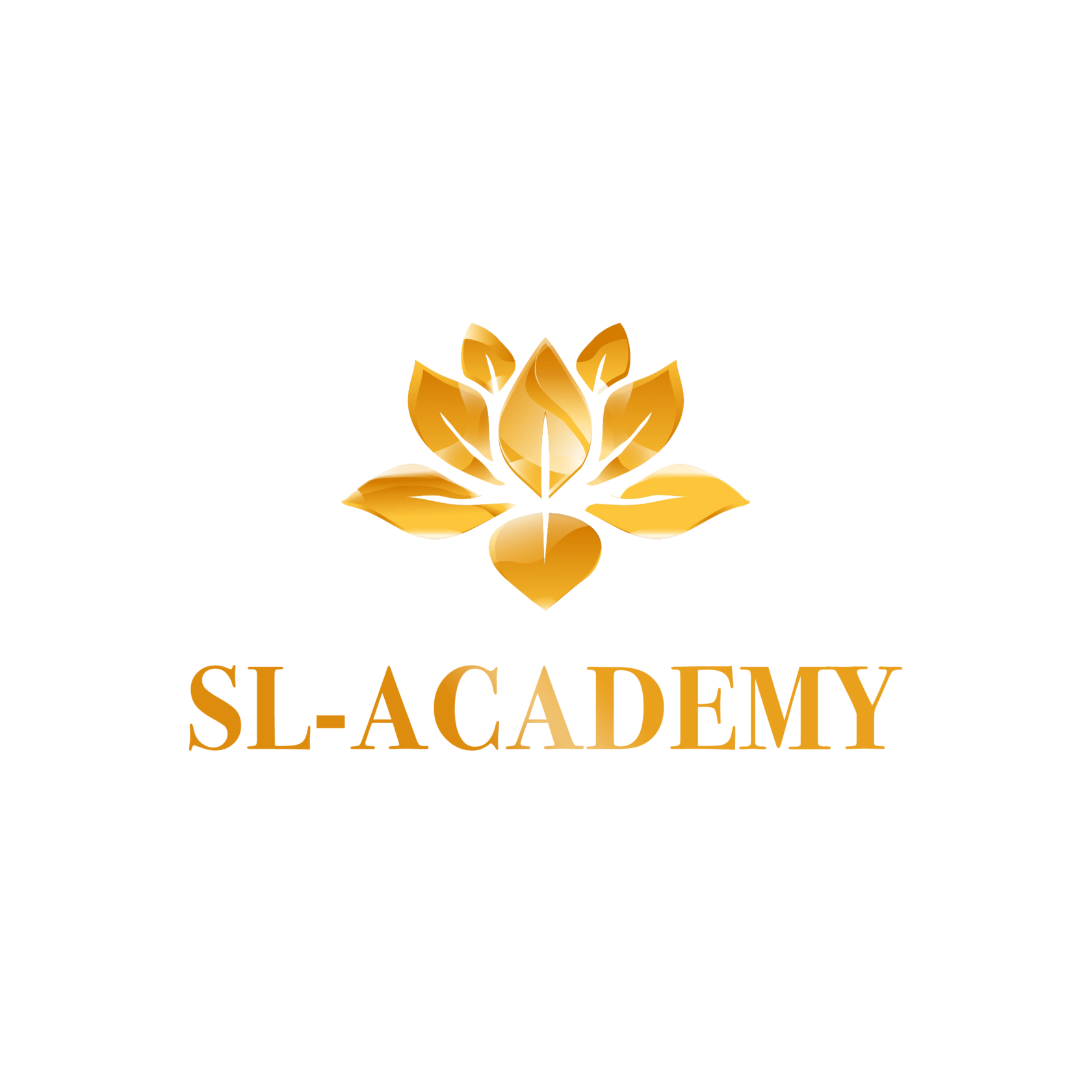  sl-academy 