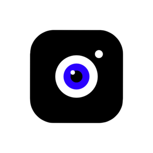 website icon