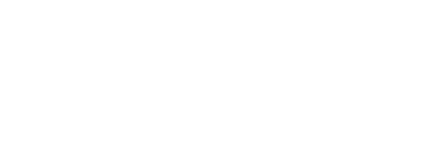 Bright School