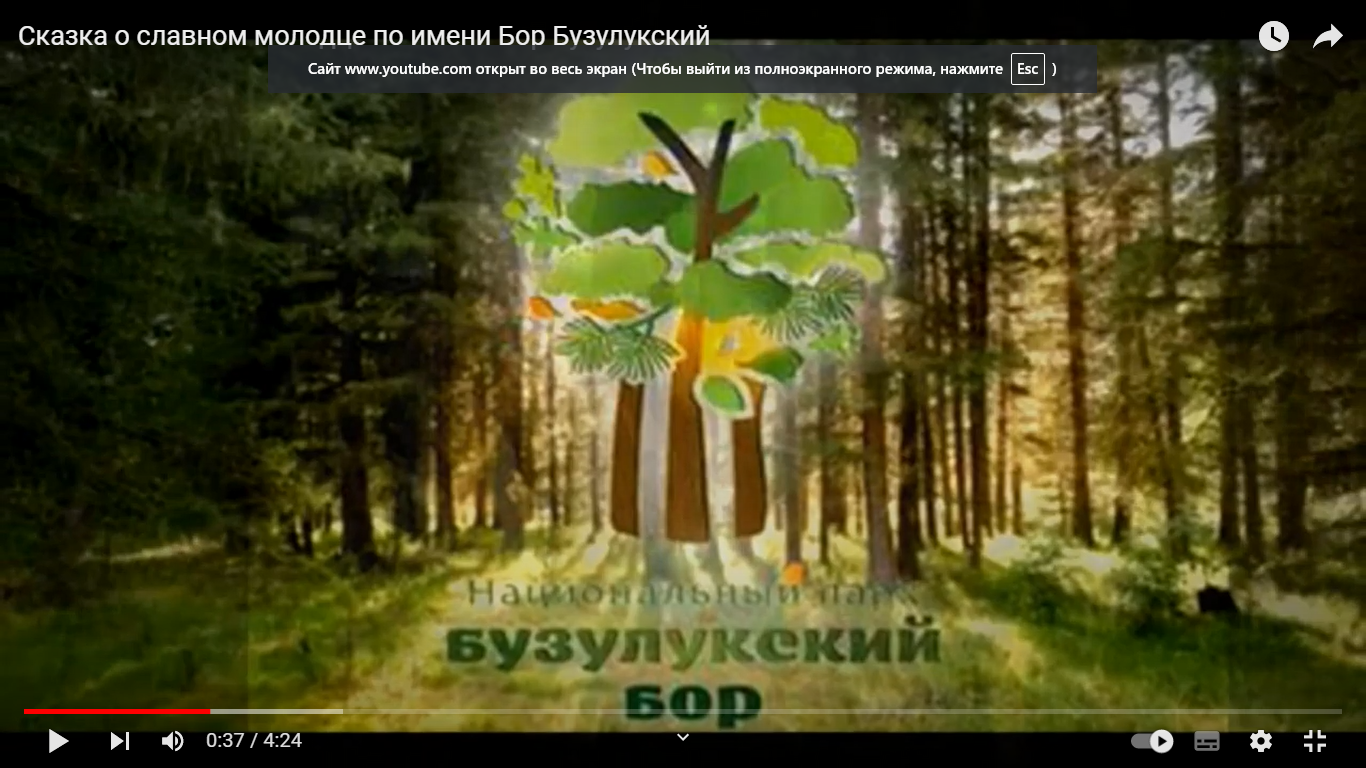 Животные бузулукского бора