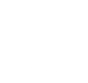 website icon