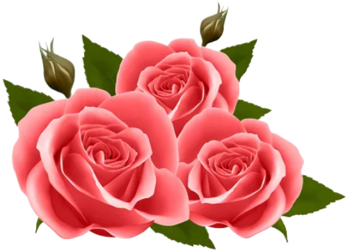 Company