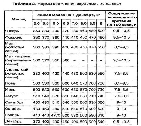 Рацион лисицы. Нормы корма таблица. Рацион кормления лисиц. Нормы кормления крыс лабораторных. Нормы кормления лисят таблица.