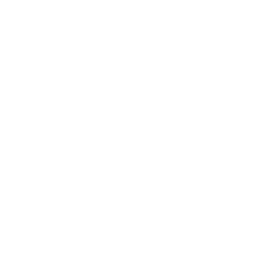 website icon