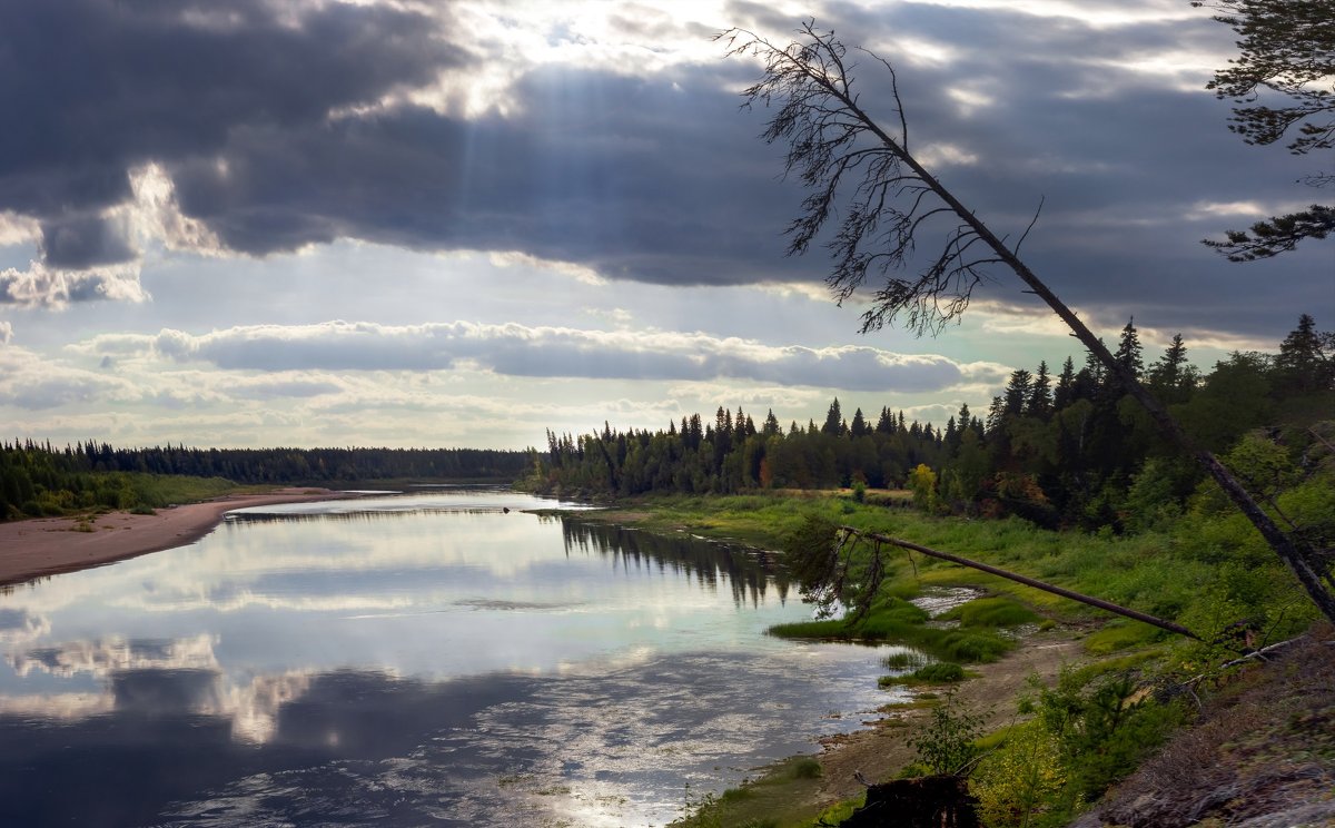 Река В Архангельской Области Купить