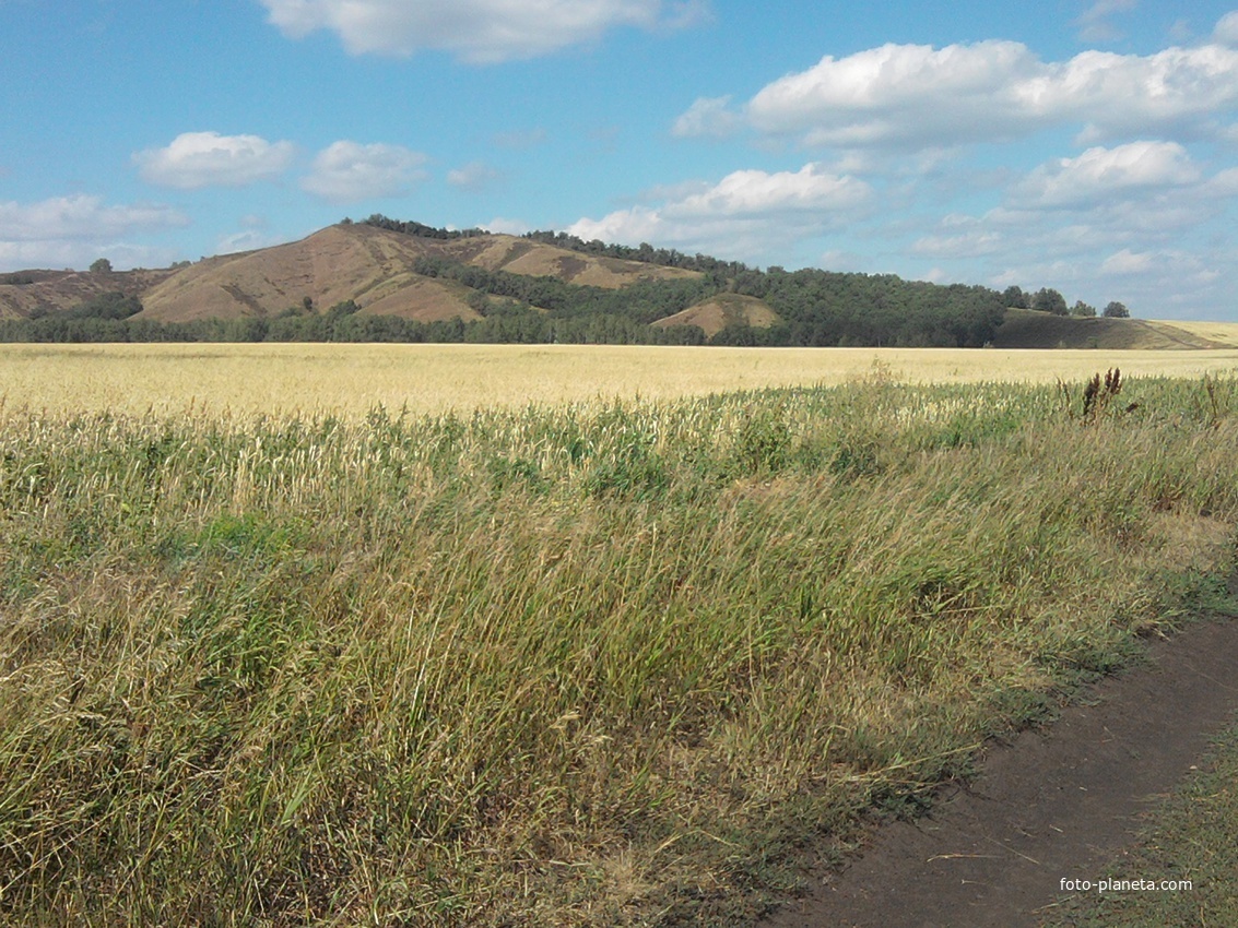 Погода алмала тюльганский. Погода алмала тюльганский. Погода алмала тюльганский. Поселок тюльган оренбургская область. Погода алмала тюльганский.