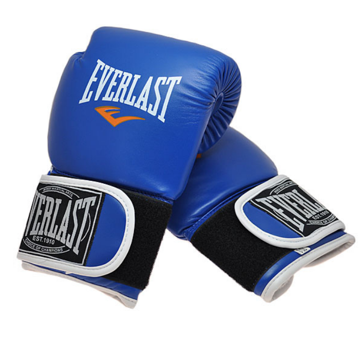 какая цена Боксерские перчатки Everlast купить
