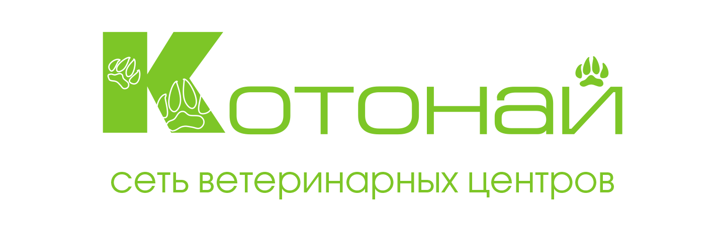 Company