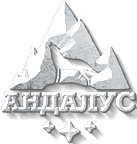логотип компании Андалус