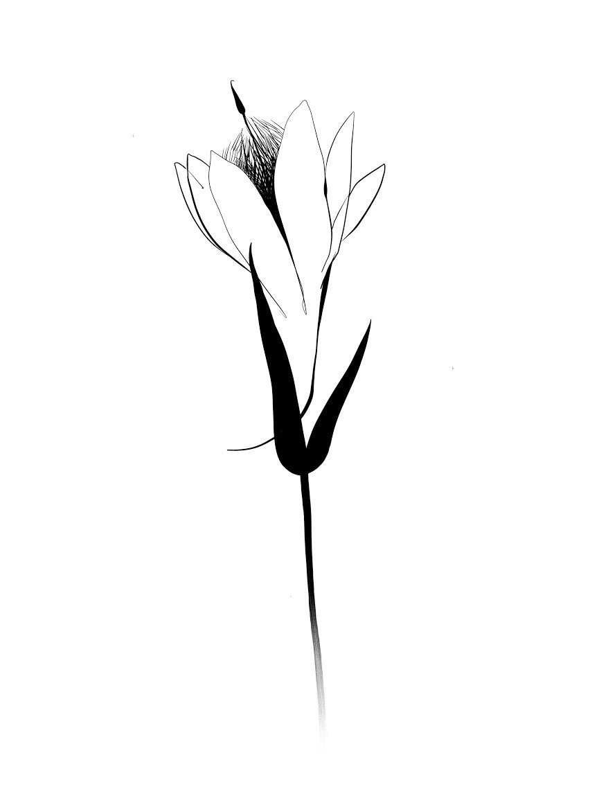 Кристина Кравченко эскизы