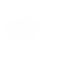 vinoacademia.kz favicon