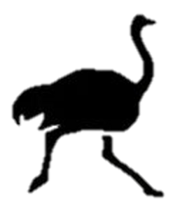 website icon
