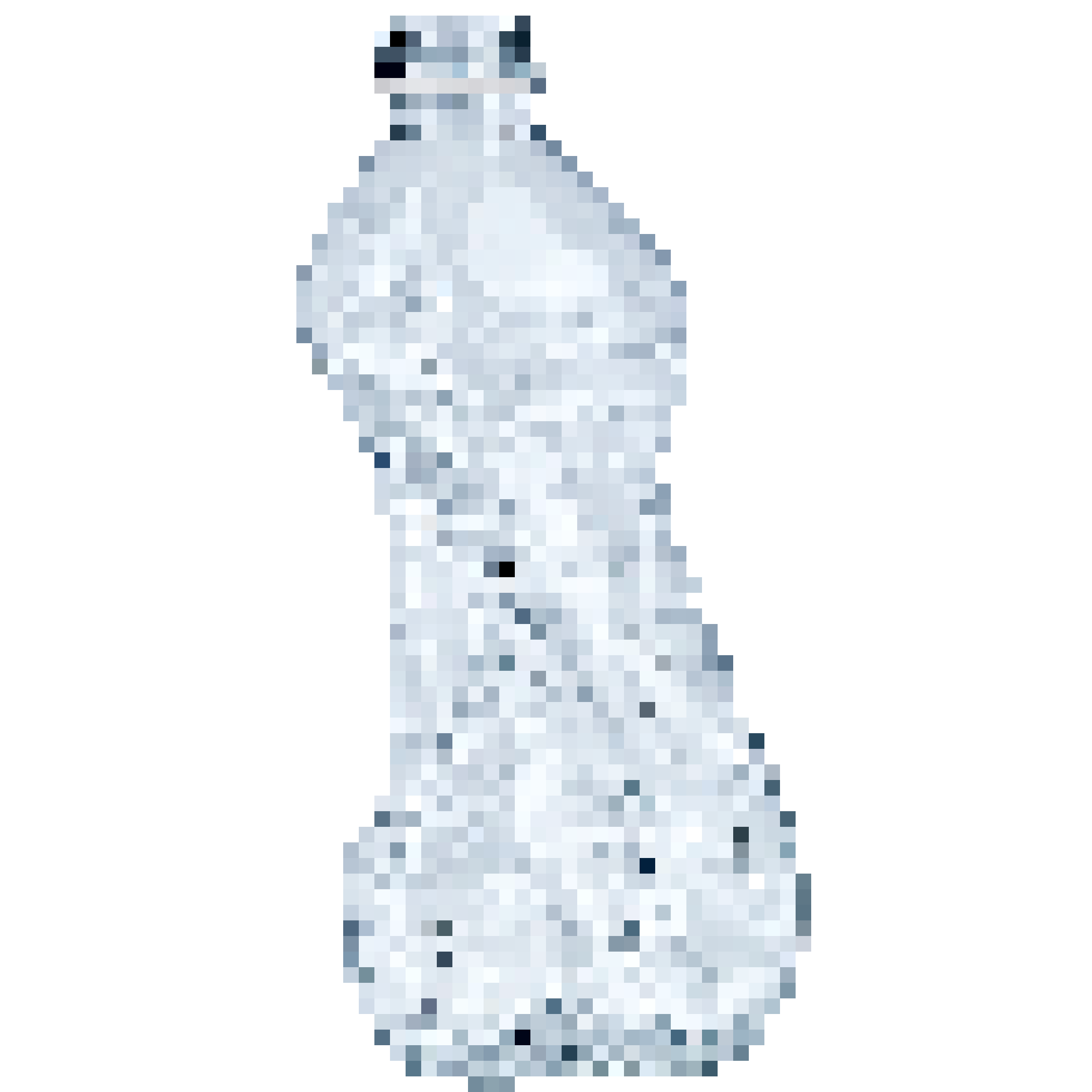 СПАСТИ КИТА