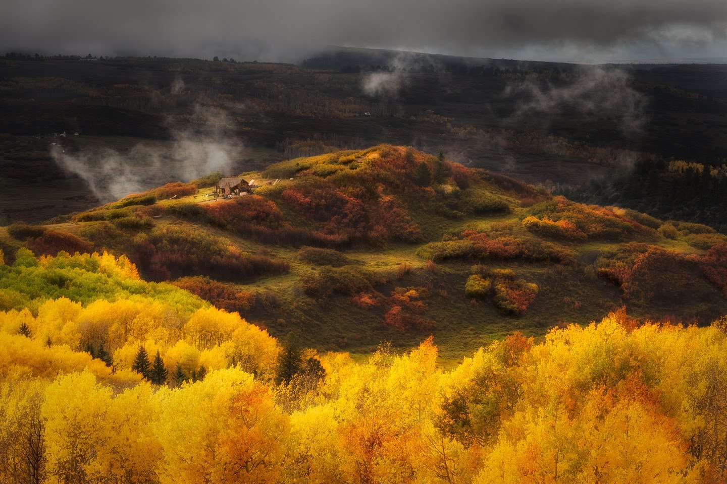 Климатическая осень. Осень. Золотой пейзаж. Фото осень Золотая. Золотая природа.