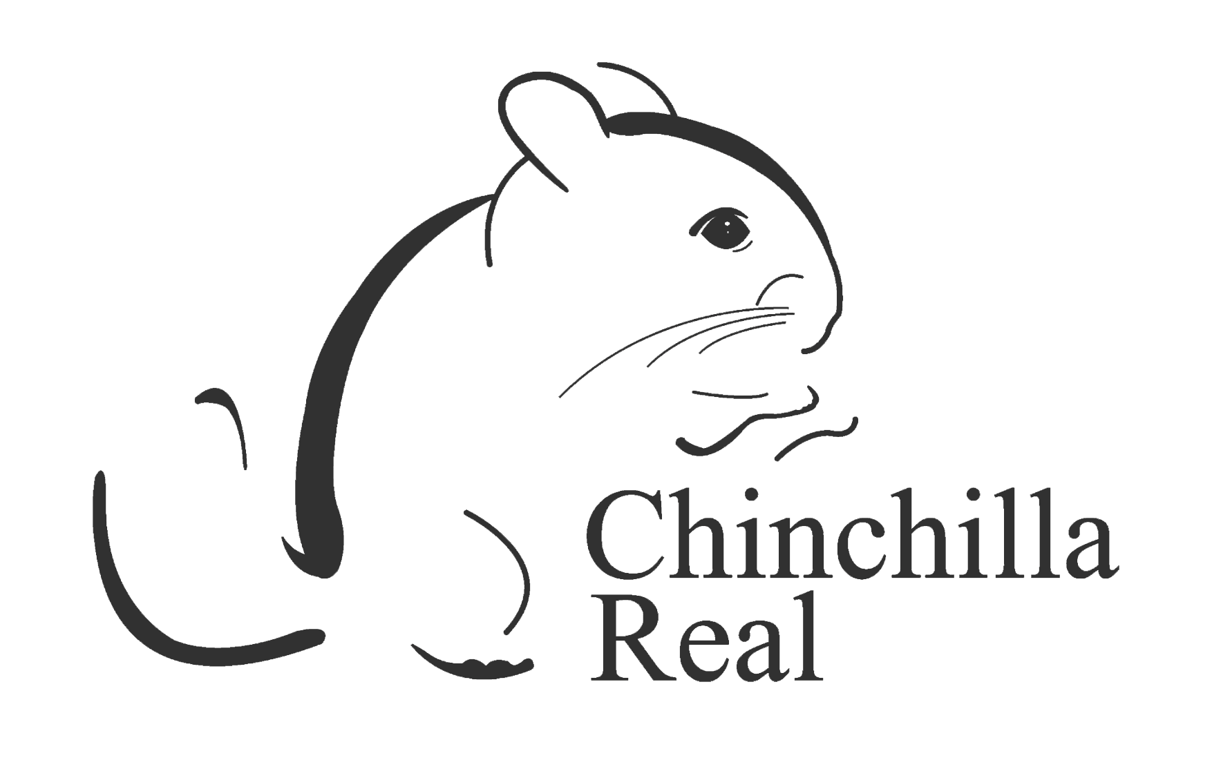 Chinchilla Real