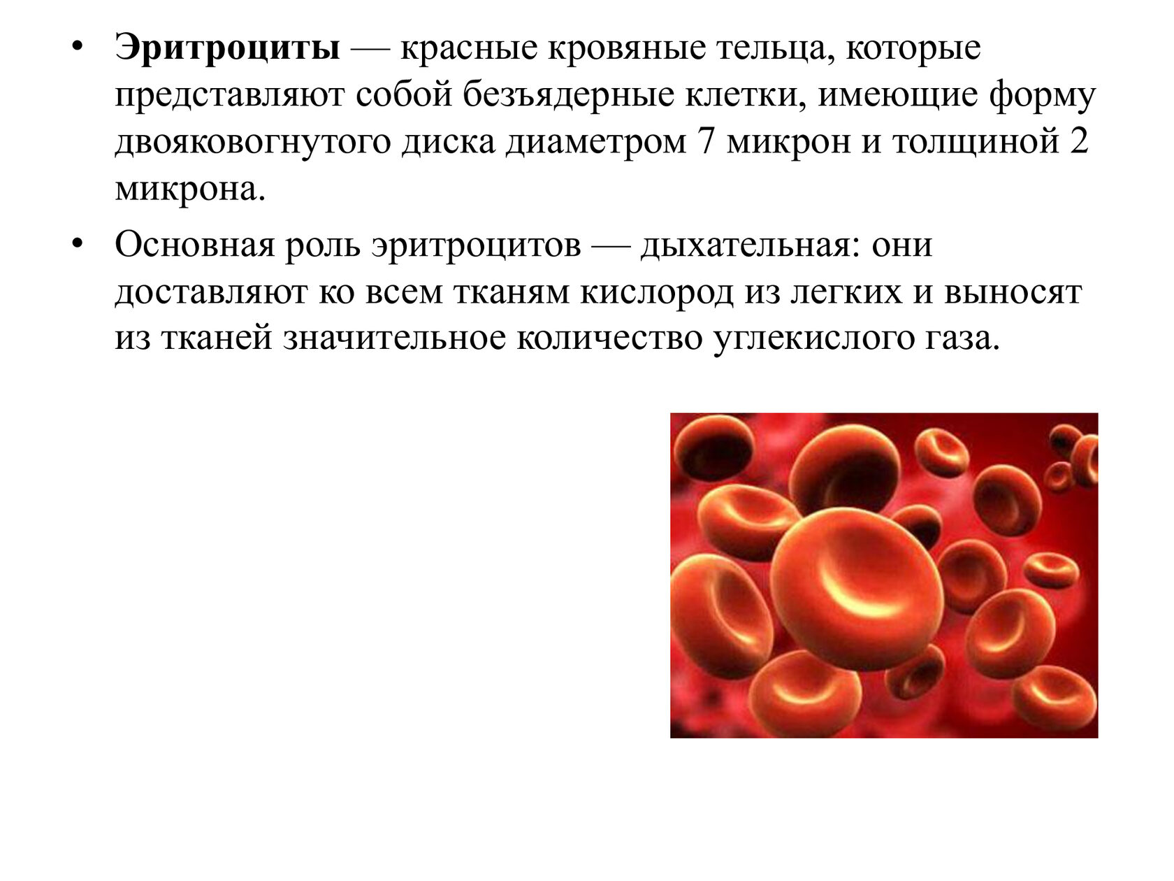 Эритроциты в простате. Эритроциты, или красные кровяные клетки. Строение эритроцитов млекопитающих. Красные кровяные тельца эритроциты. Строение эритроцитов в крови.