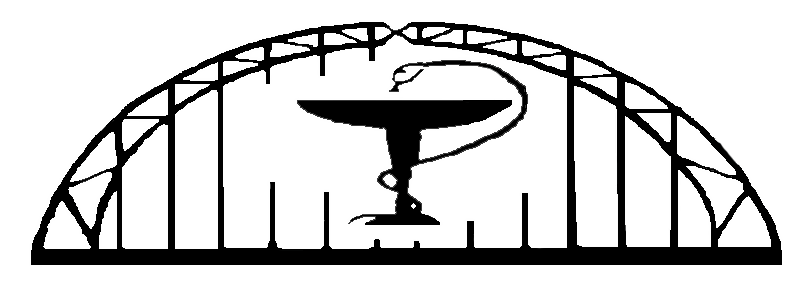 Могильный мост эмблемы. Боровичи мост Белелюбского. Мост логотип. Боровичский мост рисунок. ЦРБ Боровичи
