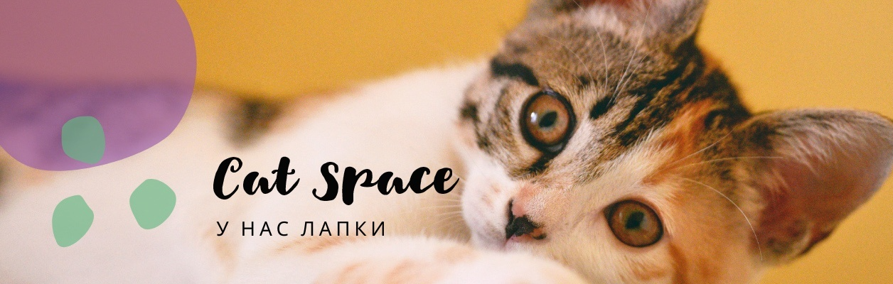 Cat space тверская ул 92 фото Антикафе