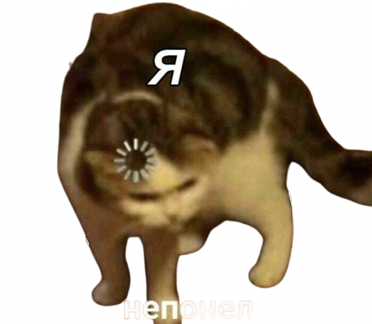 Cat load. Фото кота для дискорда. Фото для дискорда кота смешного. Loading Cat. Cat loading meme