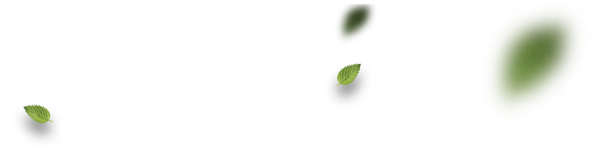 огонь для жарки на гриле