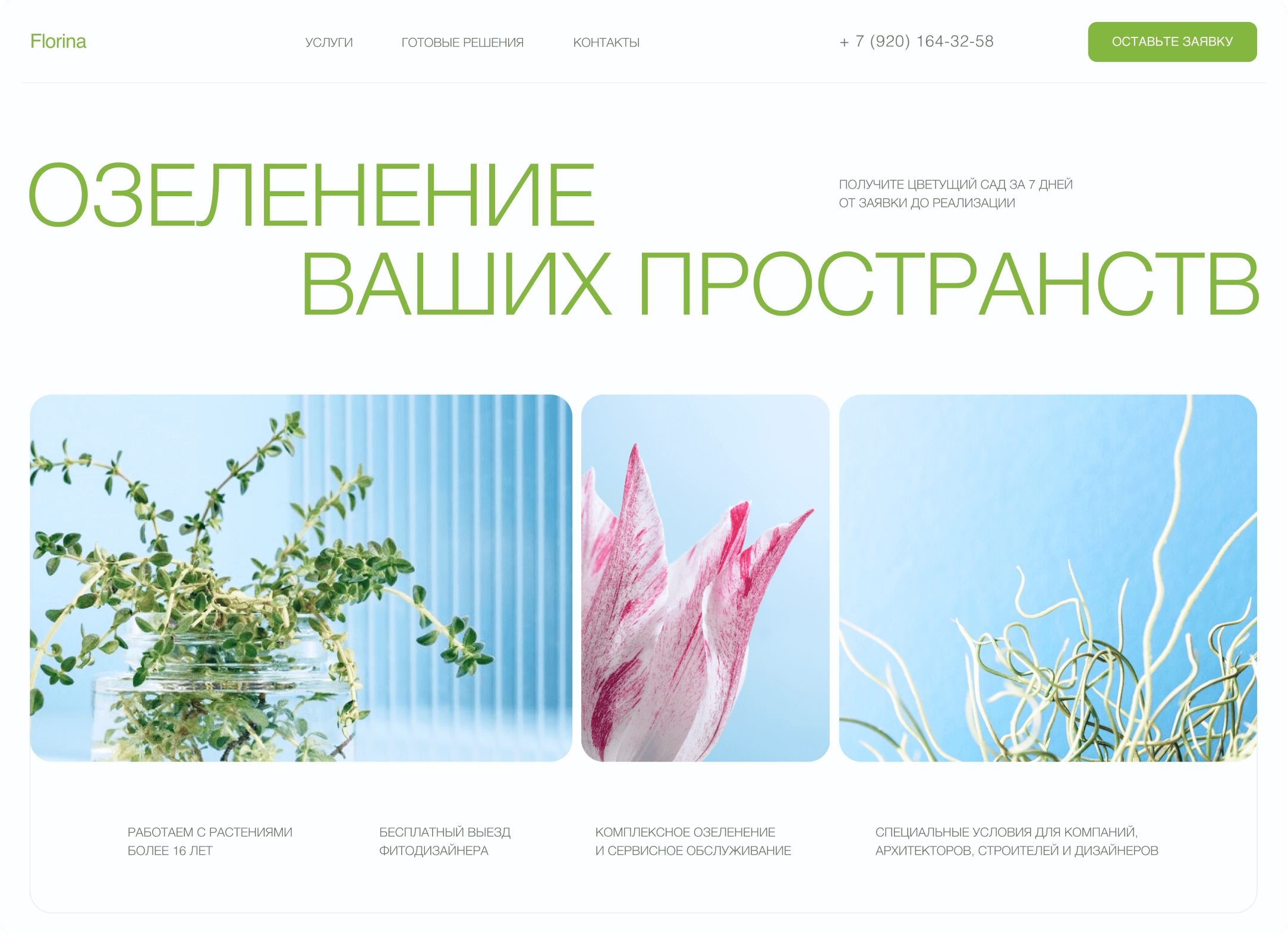 сайт компании по озеленению