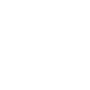 website icon