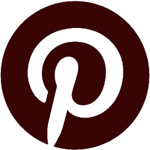 website icon