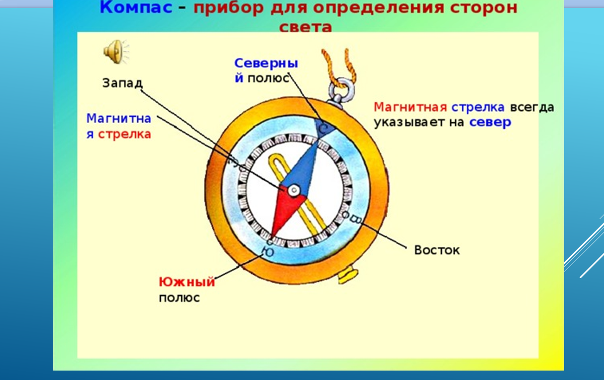 Куда указывает магнитный компас. Компас это прибор для определения сторон света. Полюса компаса. Южный полюс стрелки компаса. Стороны света на компасе.