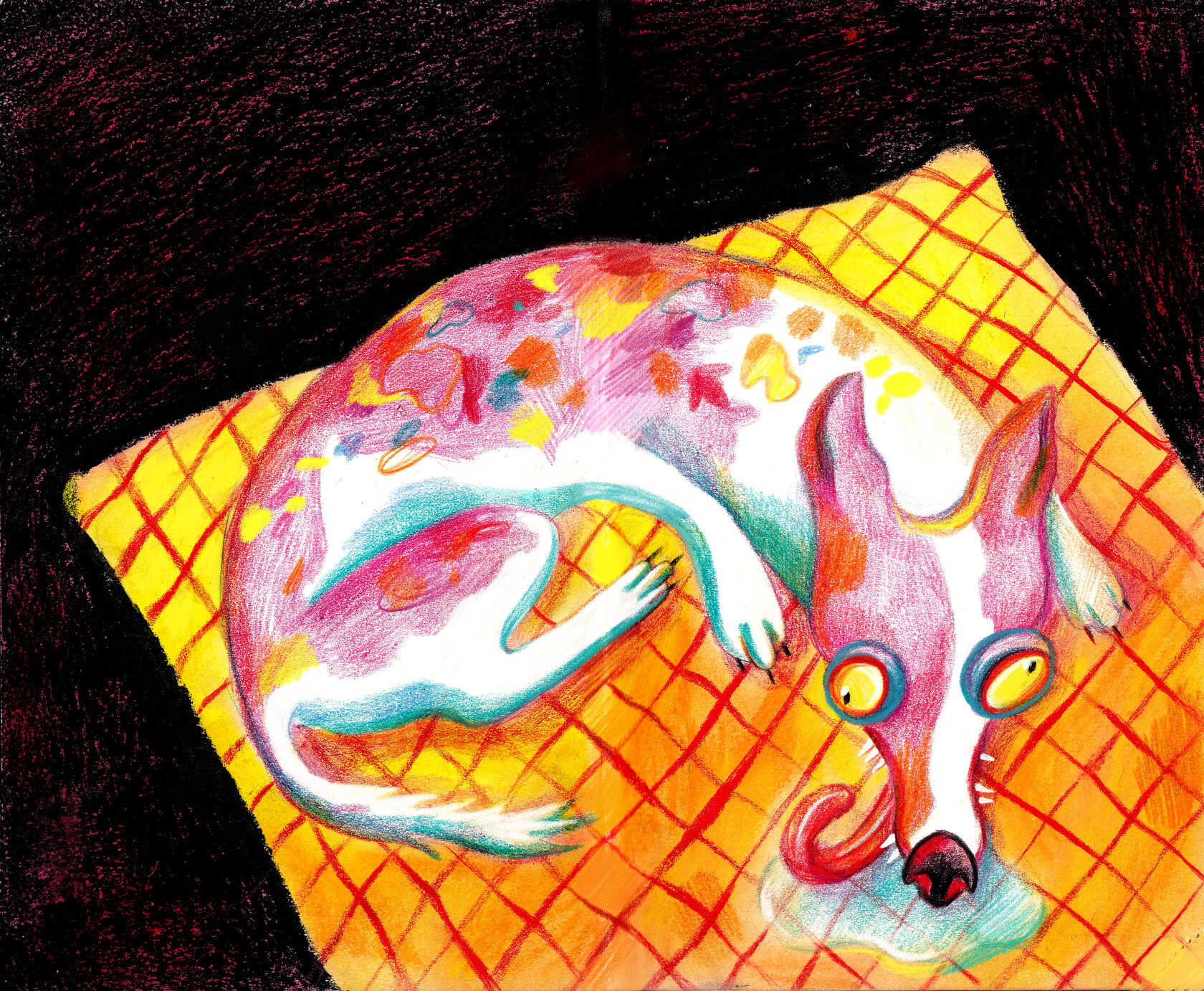 dog illustration Lizaveta Valantsevich