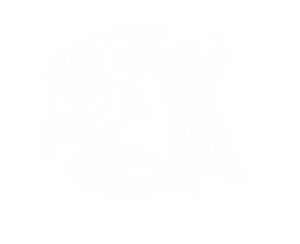 website icon