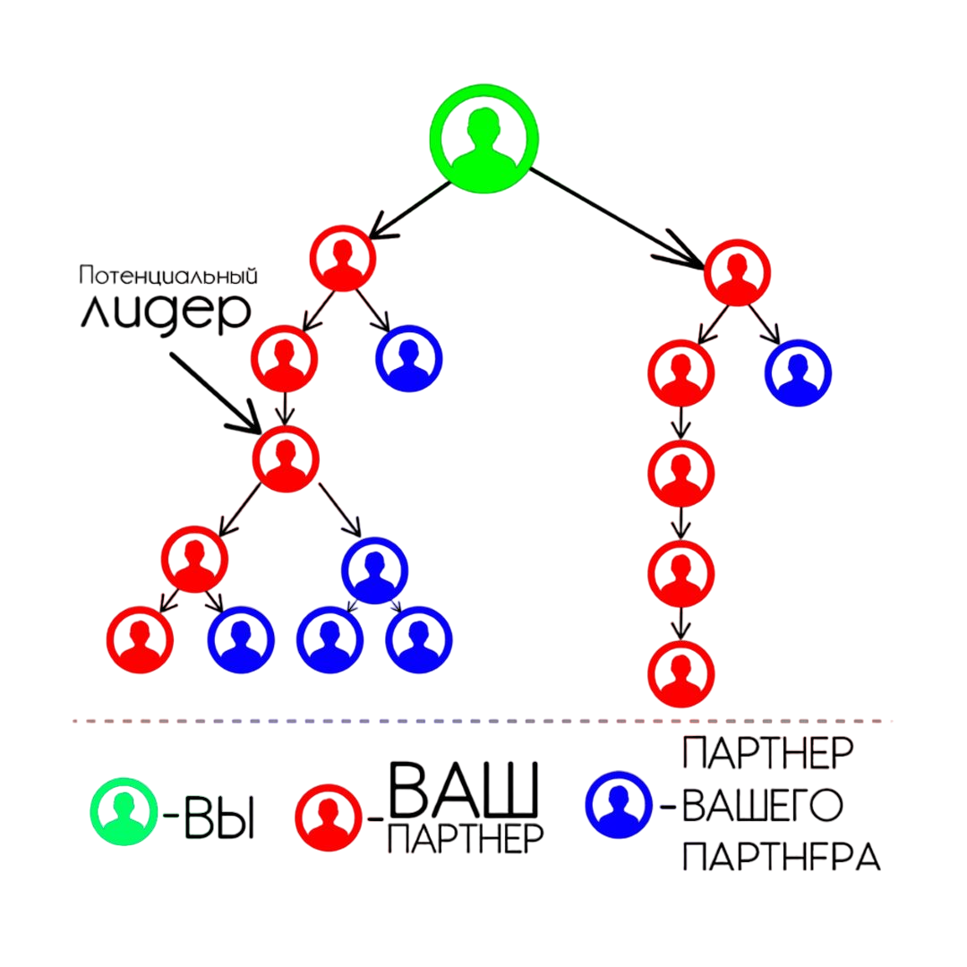 Маркетинг план атоми