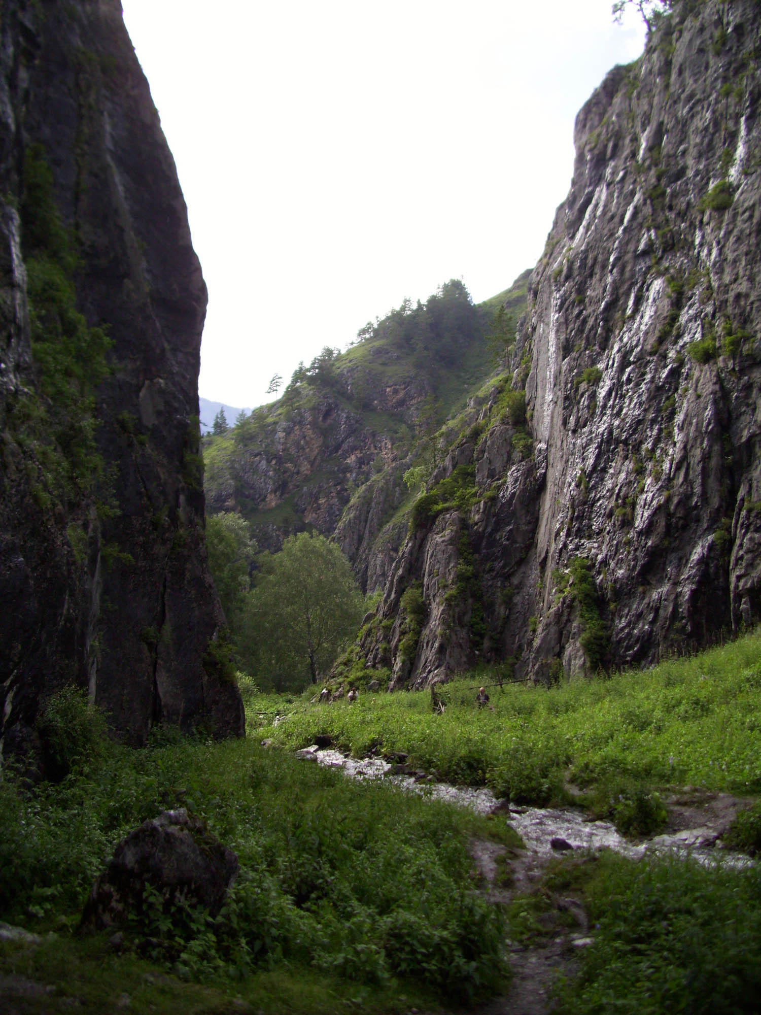 Горные ущелья Тарбагатай