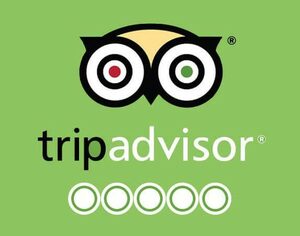 website icon