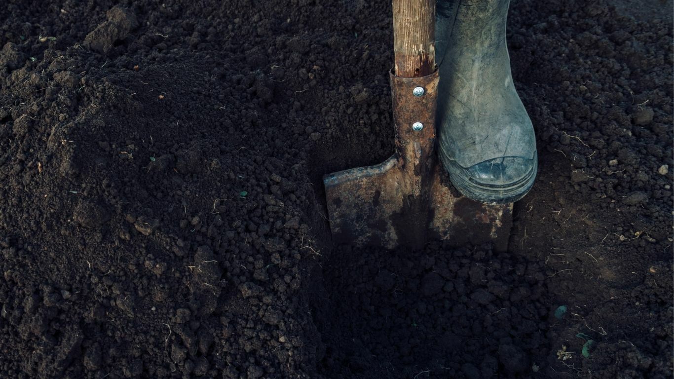 На даче в земле дыры как от ножки стола кто сделал