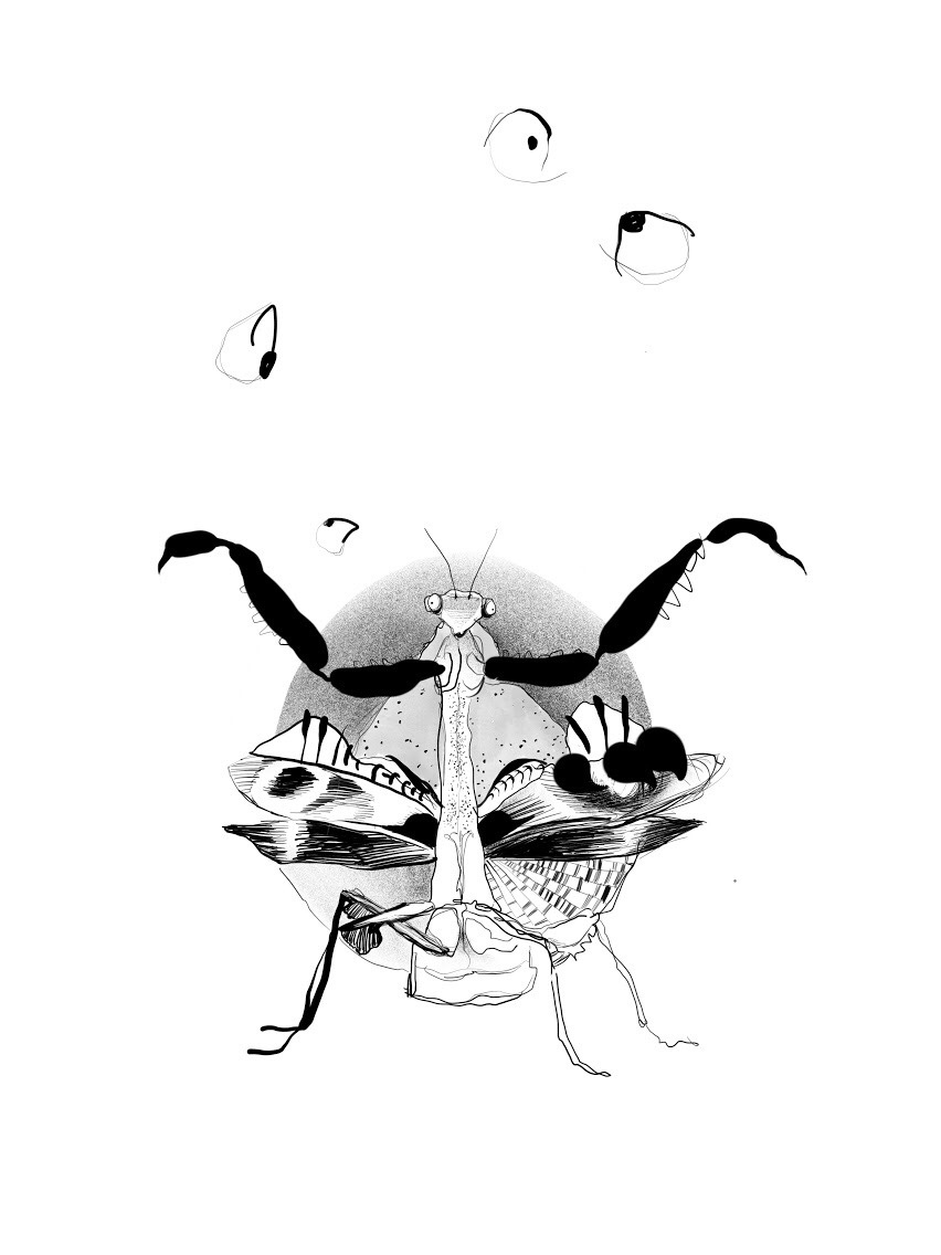 Кристина Кравченко эскизы