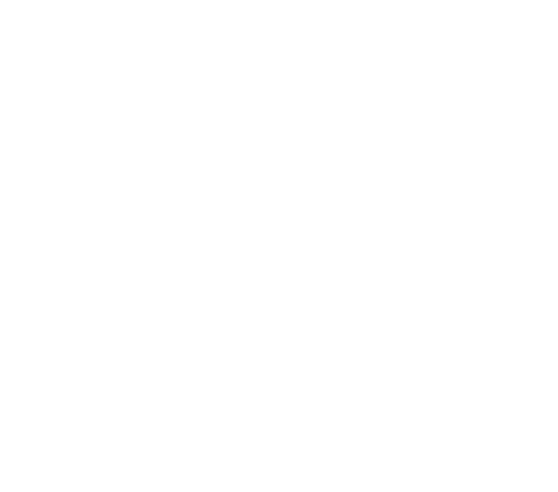 ПОРТФОЛИО