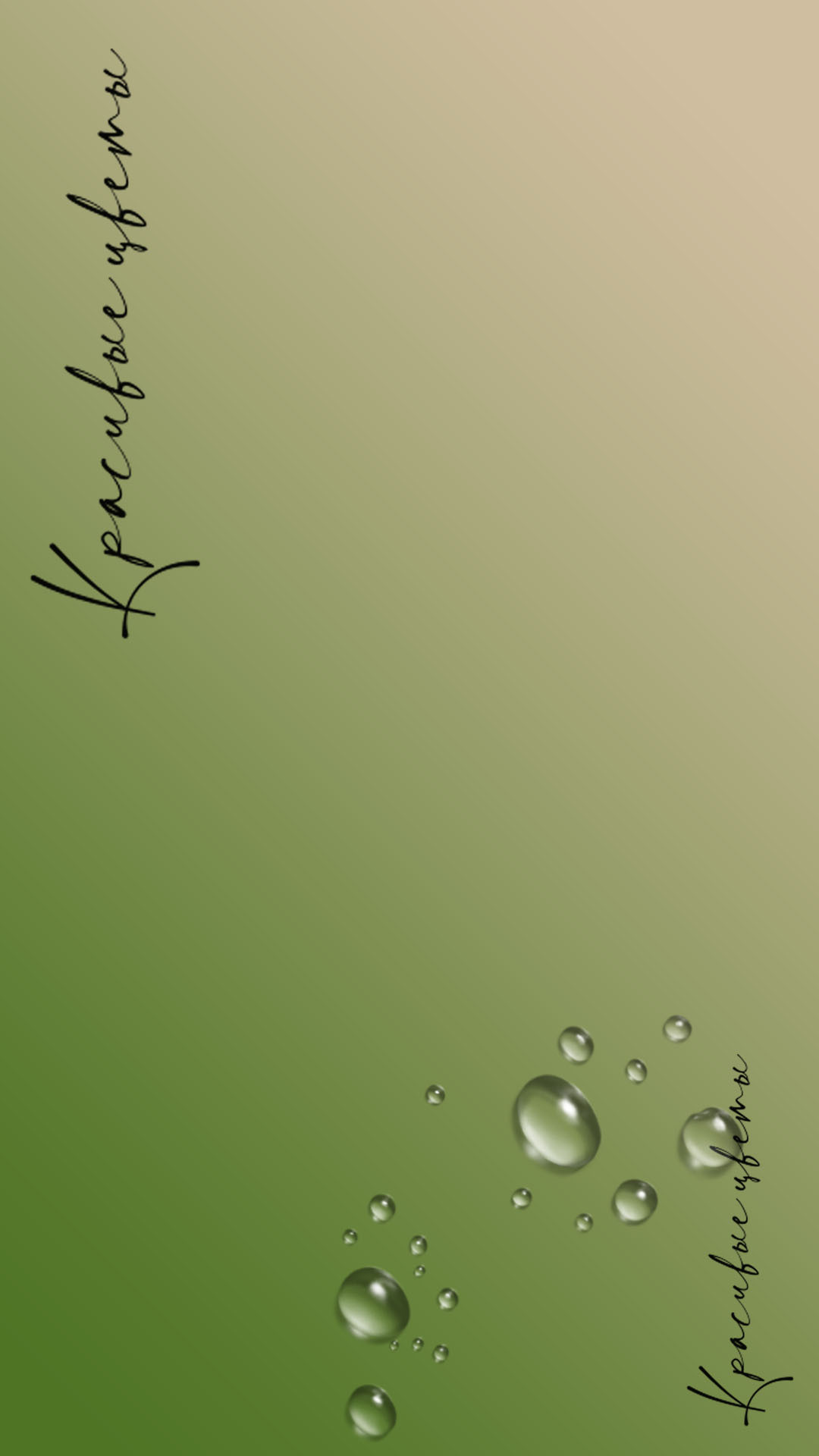 сторис цветы