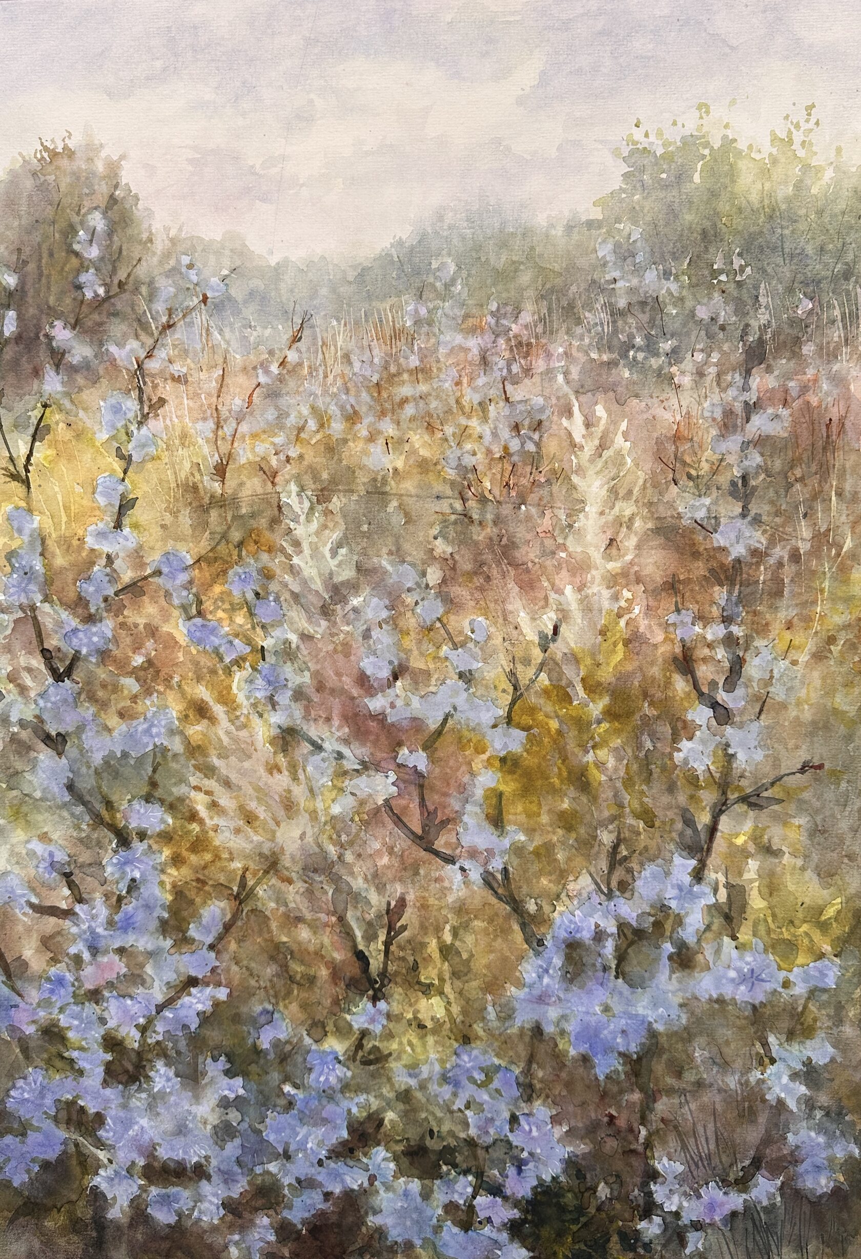 Этюд к работе «Цикорий» - где внимательно наблюдая за природой, художница начинает лучше понимать, как устроен этот мир. Она проникает в «физику» еще не выжженого солнцем поля так же, как в «физику» живописи. Эти навыки позволяют, переходя от этюда к картине, восполнить отсутствующие в этюде детали, окрасить картину всей палитрой испытанных чувств