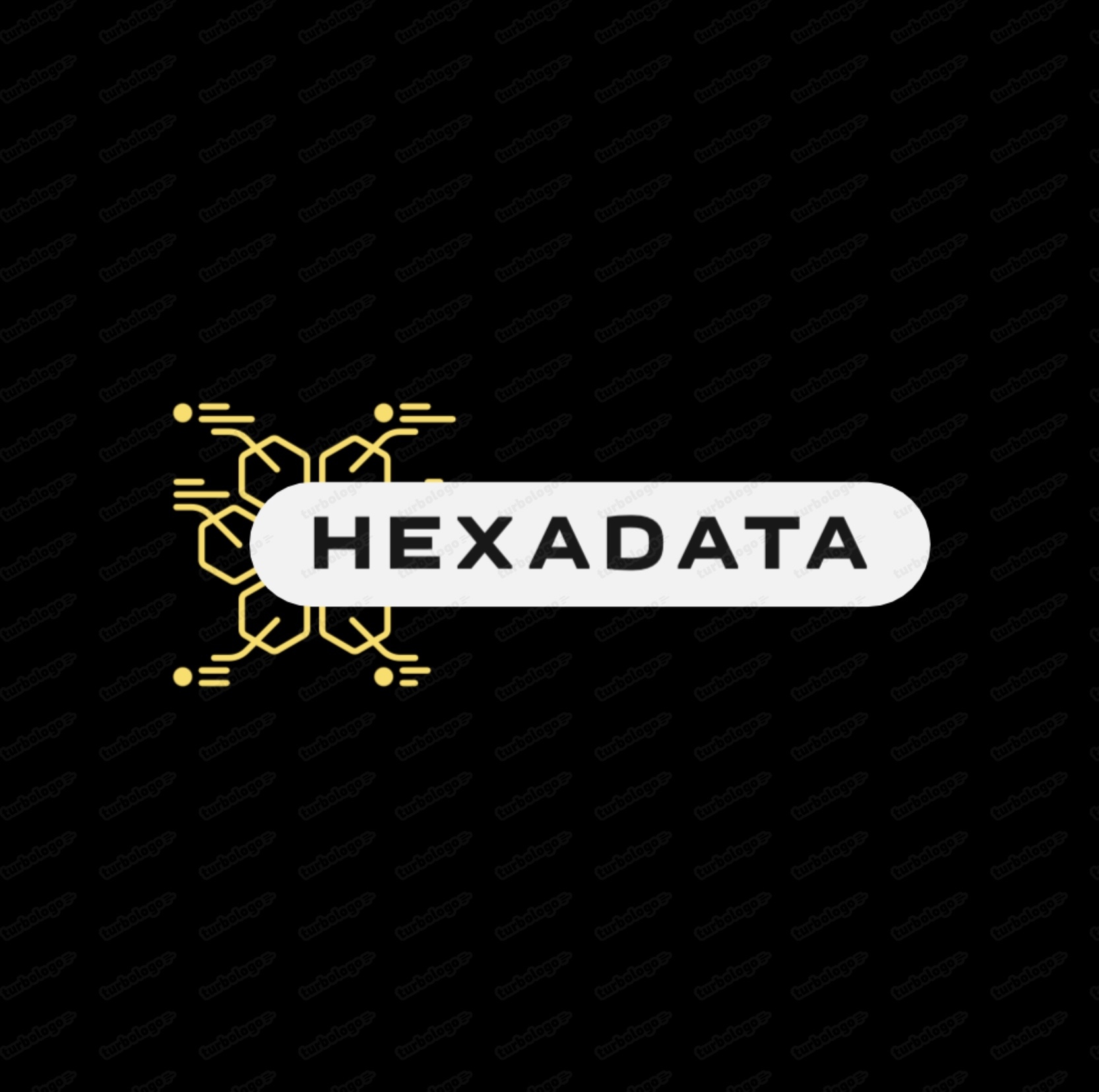 HexaData