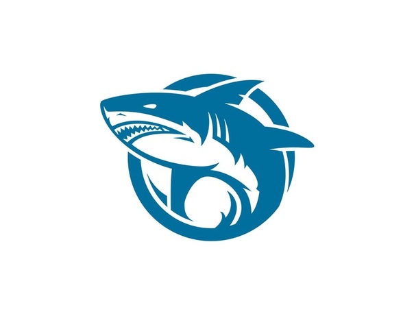 Раскрутка сайта team shark. Логотип команд с акулой. Shark Team. Название команды акулы недвижимости.