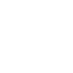 website icon