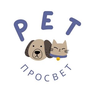 website icon