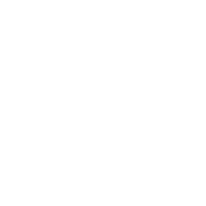 website icon