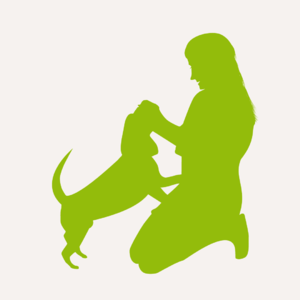 website icon